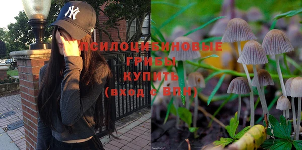 мдпв Приозерск