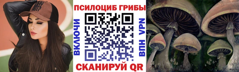мориарти клад  купить наркоту  Кандалакша  Псилоцибиновые грибы мицелий 